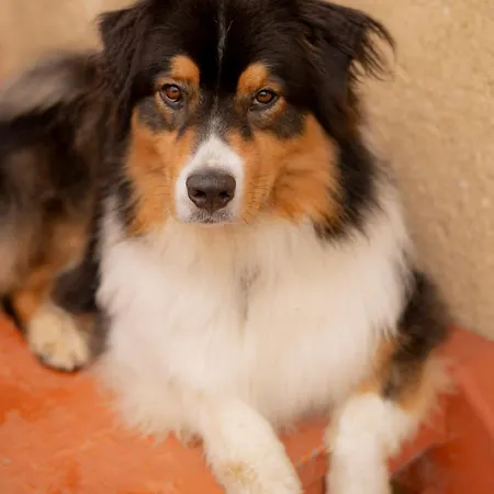 Le Domaine Du Petit Tertre Saint-Jean-d'Asse