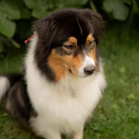 Le Domaine Du Petit Tertre