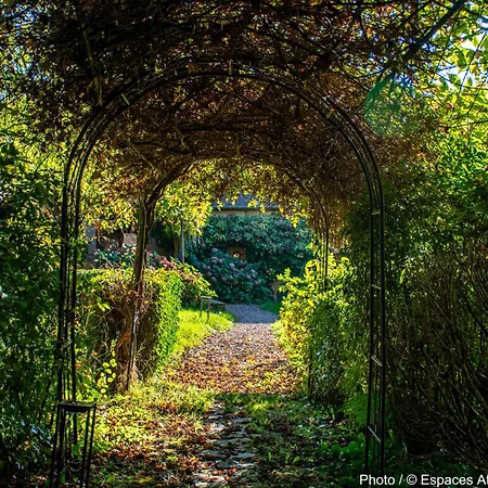 Affittacamere Le Domaine Du Petit Tertre