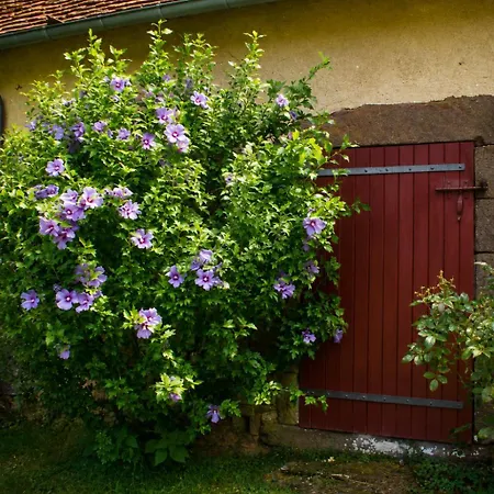 Affittacamere Le Domaine Du Petit Tertre 3*